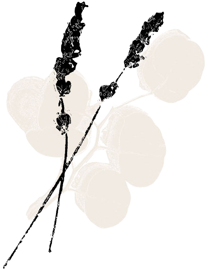 lesvoiesdemaat-bouquet